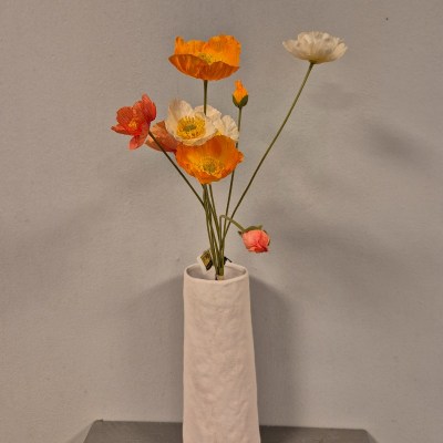 20260119_143602 website